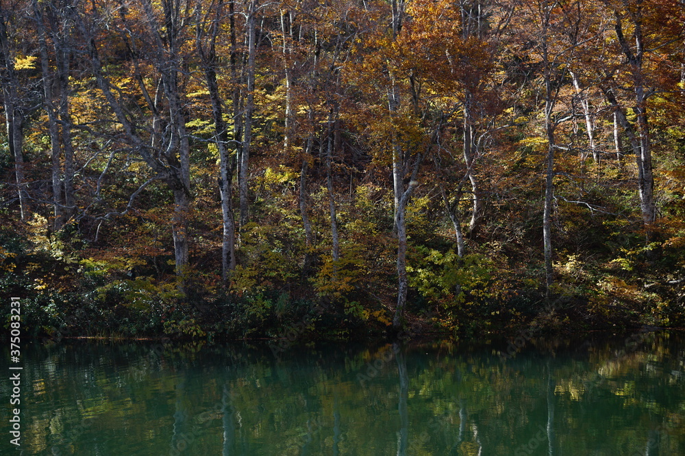 Beautiful autumn landscape in Northern Alps of Japan, Otari, Nagano Beautiful autumn landscape in Northern Alps of Japan, Otari, Nagano