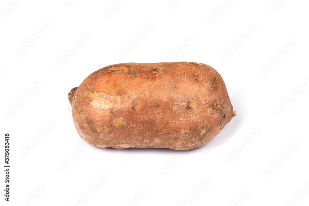 Large sweet potato isolated on white. Large sweet potato isolated on white.