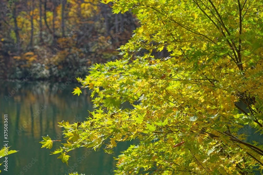 Beautiful autumn landscape in Northern Alps of Japan, Otari, Nagano