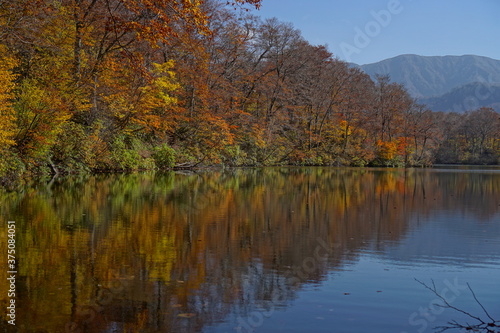 Beautiful lake reflection in autumn landscape at Northern Alps of Japan, Otari, Nagano