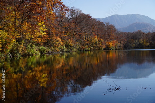 Fototapeta Naklejka Na Ścianę i Meble -  Beautiful lake reflection in autumn landscape at Northern Alps of Japan, Otari, Nagano