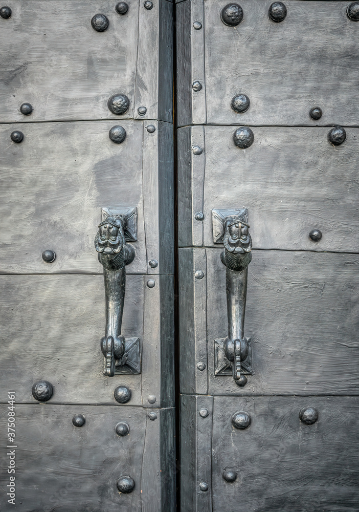 Bronze forged gates of the ancient castle