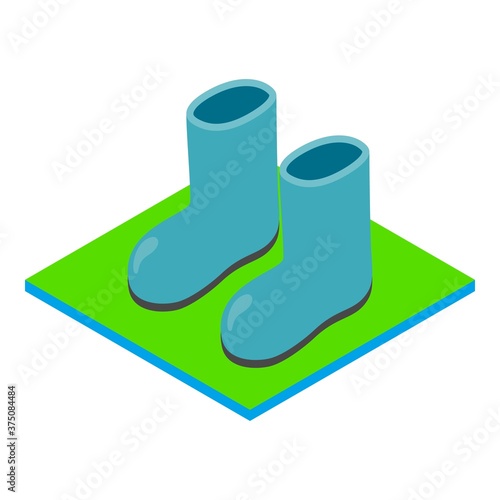 Rain boots icon. Isometric illustration of rain boots vector icon for web
