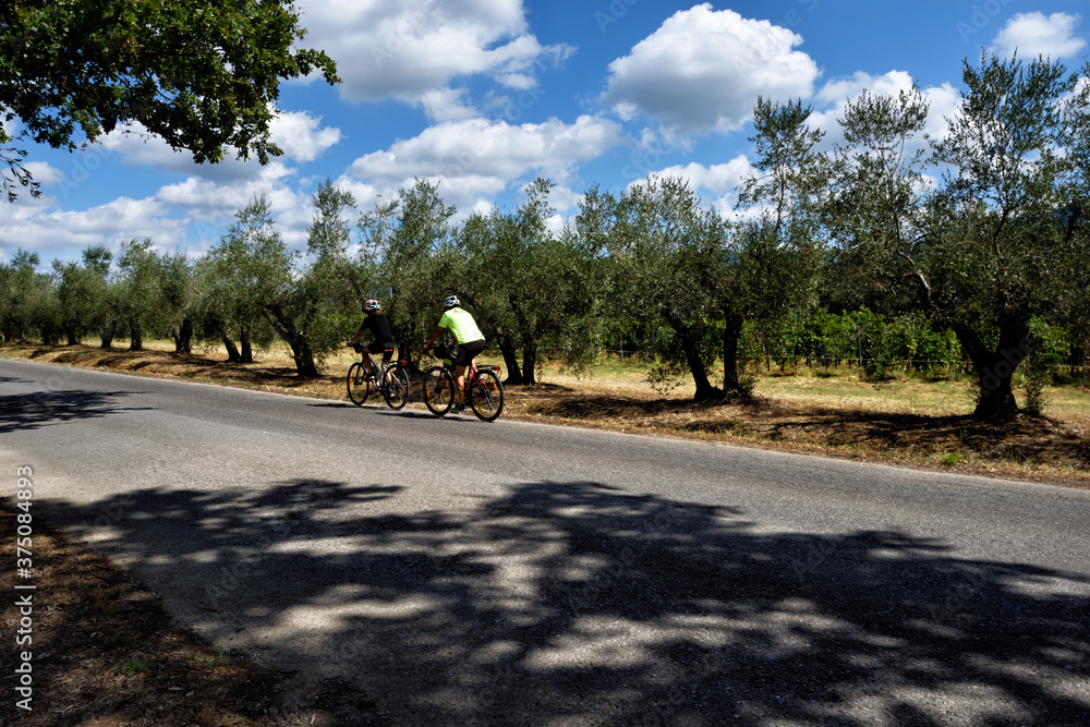 Naklejka premium horse riding on a road