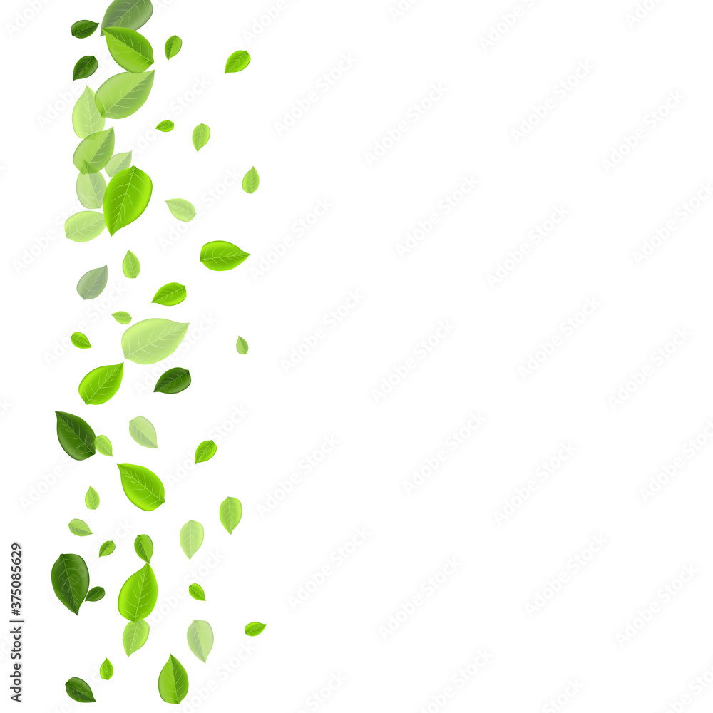 Green Foliage Nature Vector Branch. Wind Leaf Green Foliage Nature Vector Branch. Wind Leaf