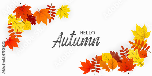 Autumn fall leaf decoration. Vector illustration