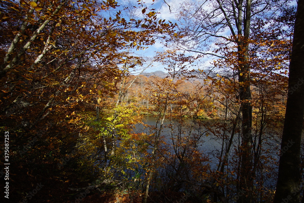 Beautiful autumn landscape in Northern Alps of Japan, Otari, Nagano. Beautiful autumn landscape in Northern Alps of Japan, Otari, Nagano.