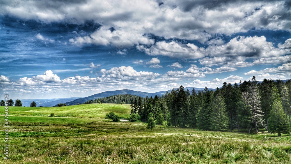 Fototapeta premium Landscape 