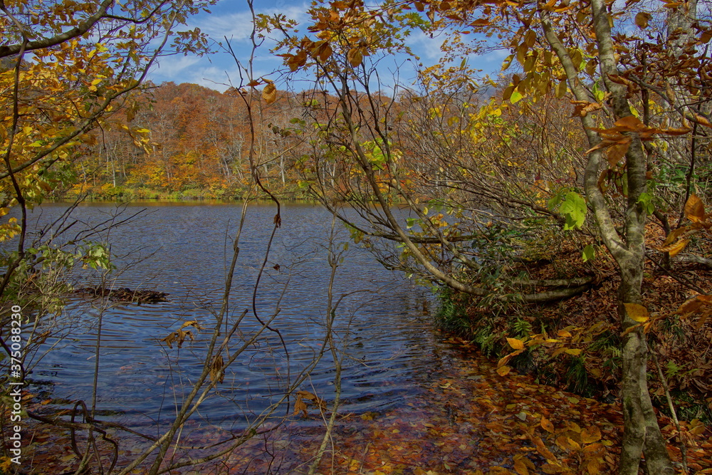 Fototapeta premium Beautiful autumn landscape in Northern Alps of Japan, Otari, Nagano.