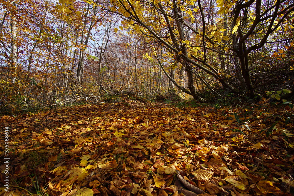 Beautiful autumn landscape in Northern Alps of Japan, Otari, Nagano.