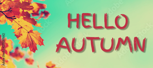 Hello Autumn. Golden autumn concept with copy space. Sunny day  warm weather. Autumn yellow leaves on blue sky background.