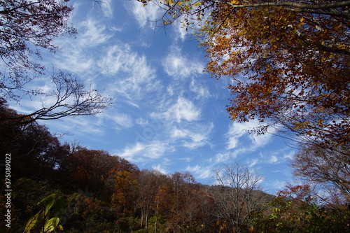 Beautiful autumn landscape in Northern Alps of Japan, Otari, Nagano. photo