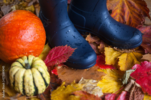 Wallpaper Mural Autumn composition with rubber boots and decorative pumpkin in front of a leafy  thanksgiving festivities invitation authentic autumn weather nature decoration bio diy natural background text space Torontodigital.ca