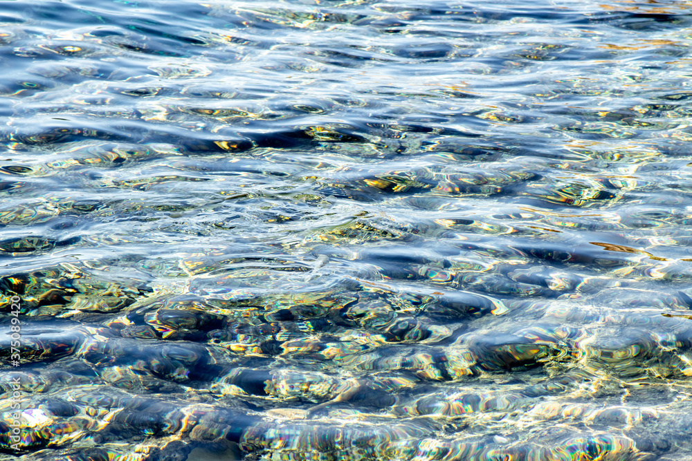 Fish on the surface of the water in the sea, defocused water background.
