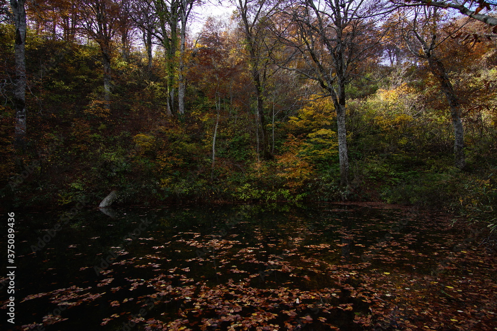 Beautiful autumn landscape in Northern Alps of Japan, Otari, Nagano. Beautiful autumn landscape in Northern Alps of Japan, Otari, Nagano.
