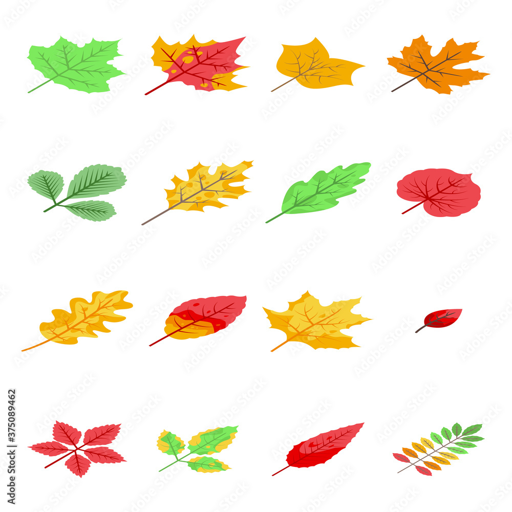 Fototapeta premium Autumn leaves icons set. Isometric set of autumn leaves vector icons for web design isolated on white background