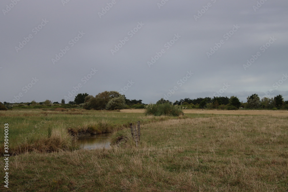 paysage paysage