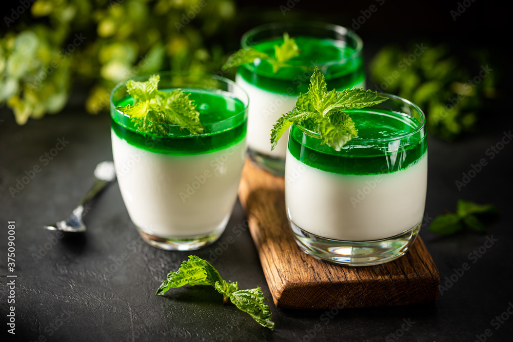 Dessert Panna Cotta with green mint sauce and fresh mint on dark background Dessert Panna Cotta with green mint sauce and fresh mint on dark background