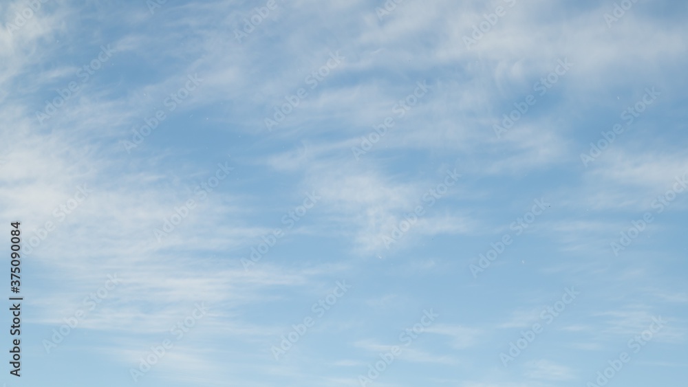 Cirrus clouds, (Ci), individual, white, fibrous, very thin and transparent. Cloud on a background of blue sky.