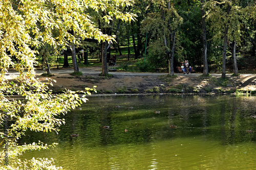 pond in the park