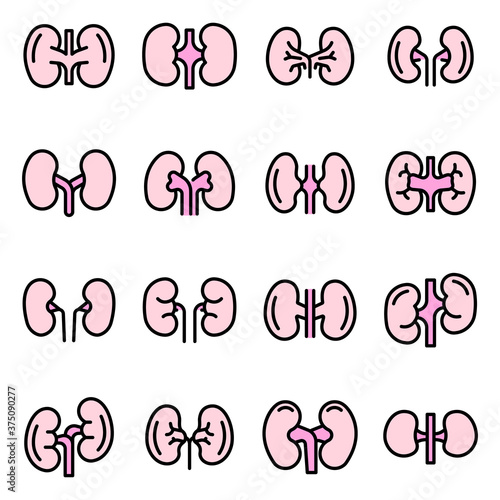 Kidney icons set. Outline set of kidney vector icons thin line color flat on white