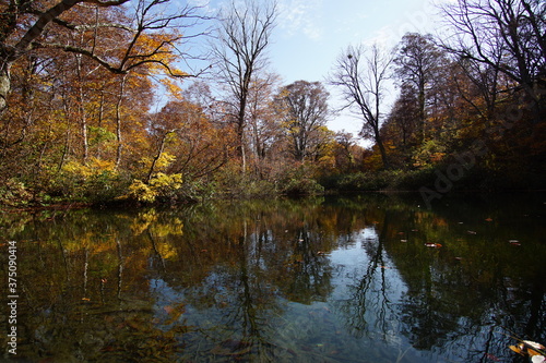 Beautiful colored trees with lake in autumn, landscape photography. Outdoor and nature in Japan