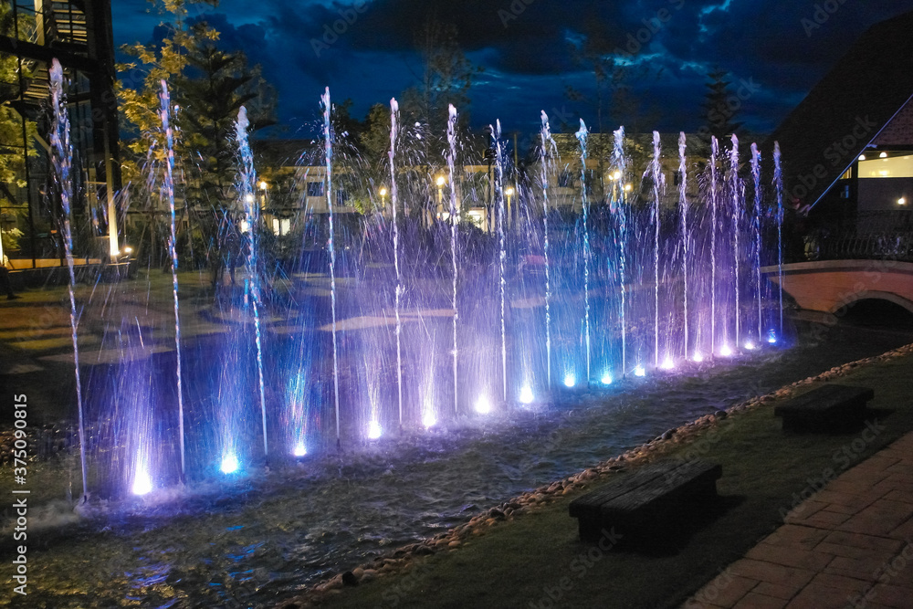 Obraz premium fountain at night
