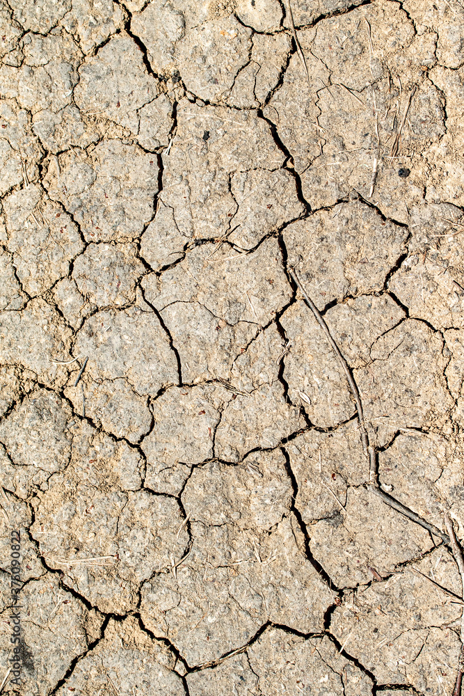 Background earth clay cracked from the sun. Background earth clay cracked from the sun.