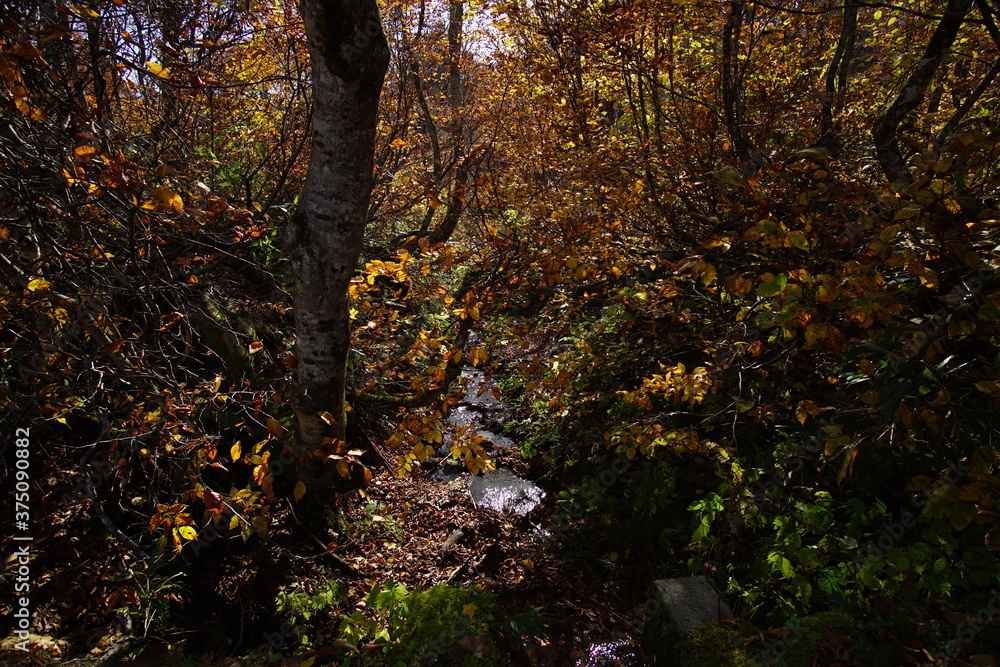 Beautiful autumn landscape in Northern Alps of Japan, Otari, Nagano. Beautiful autumn landscape in Northern Alps of Japan, Otari, Nagano.