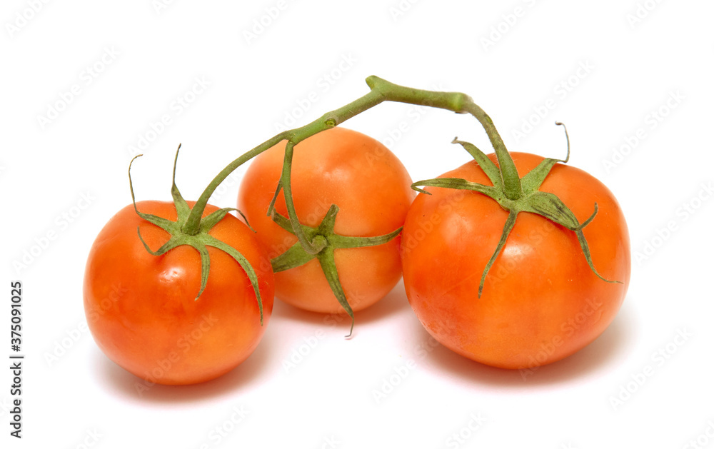Red tomatoes on a green branch isolated on a white background. Red tomatoes on a green branch isolated on a white background.