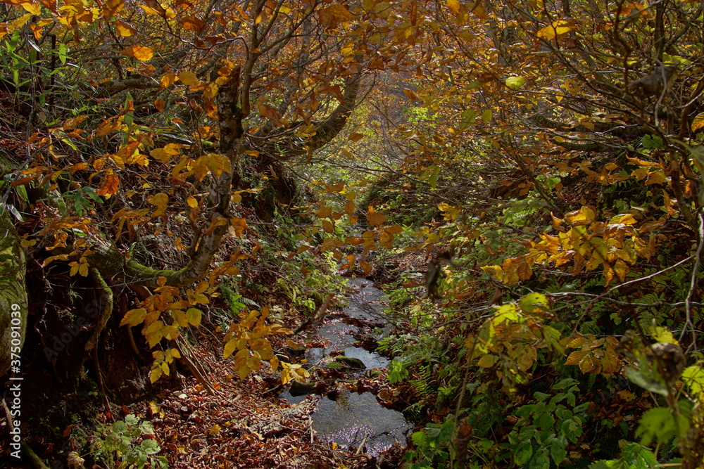 Beautiful autumn landscape in Northern Alps of Japan, Otari, Nagano. Beautiful autumn landscape in Northern Alps of Japan, Otari, Nagano.