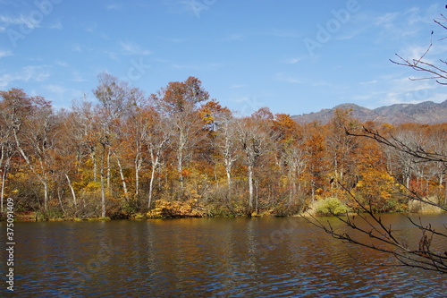 Beautiful colored trees with lake in autumn, landscape photography. Outdoor and nature in Japan