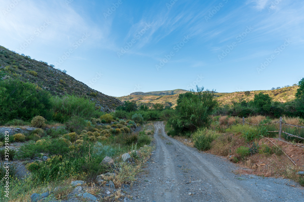 path in a mountainous landscape with vegetation