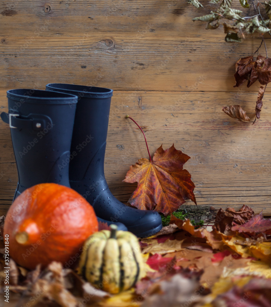 Autumn composition with rubber boots and decorative pumpkin in front of a leafy wooden background thanksgiving thanksgiving autumn weather nature decoration bio diy natural background text space