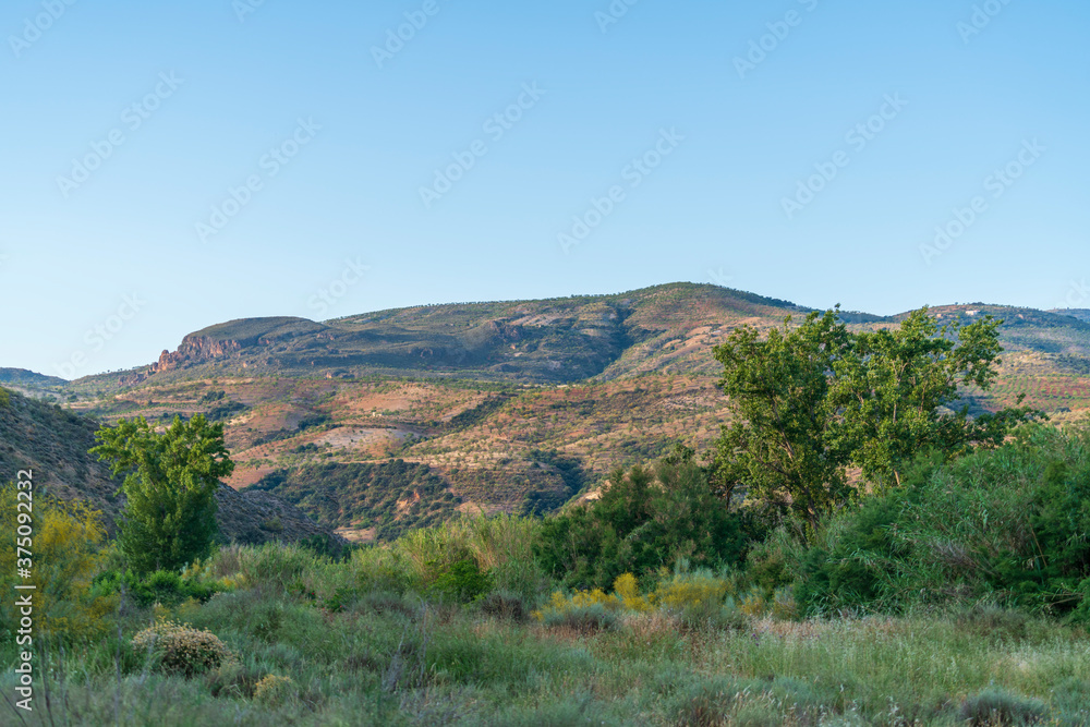 mountainous landscape with vegetation mountainous landscape with vegetation