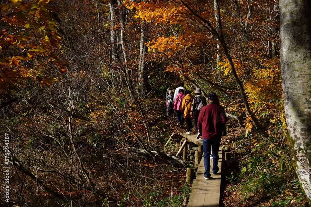 Obraz premium Beautiful autumn landscape in Northern Alps of Japan, Otari, Nagano.