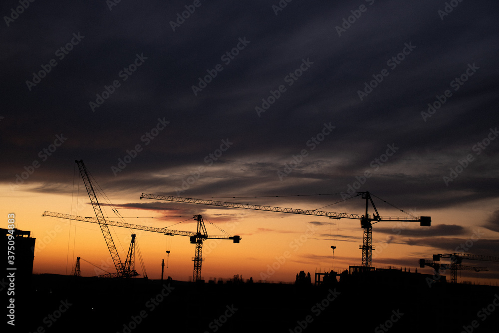Background with cranes at sunset
