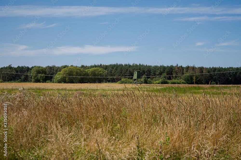 Landscape with a hunter's post. Wild meadow in the foreground behind you can see a forest. Landscape with a hunter's post. Wild meadow in the foreground behind you can see a forest.