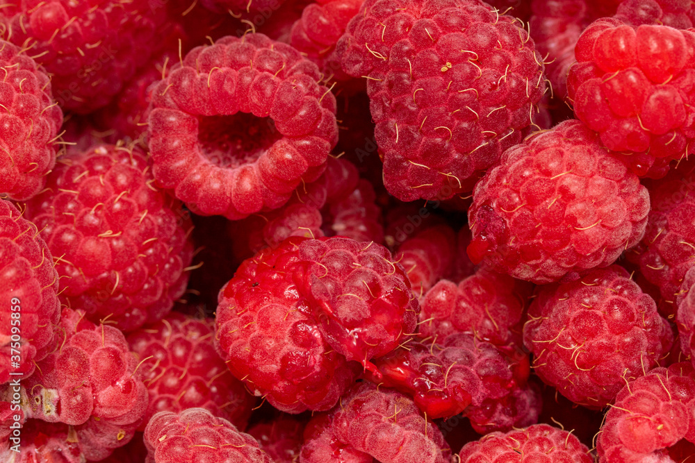 Raspberry berries, background from raspberries. Raspberry berries, background from raspberries.