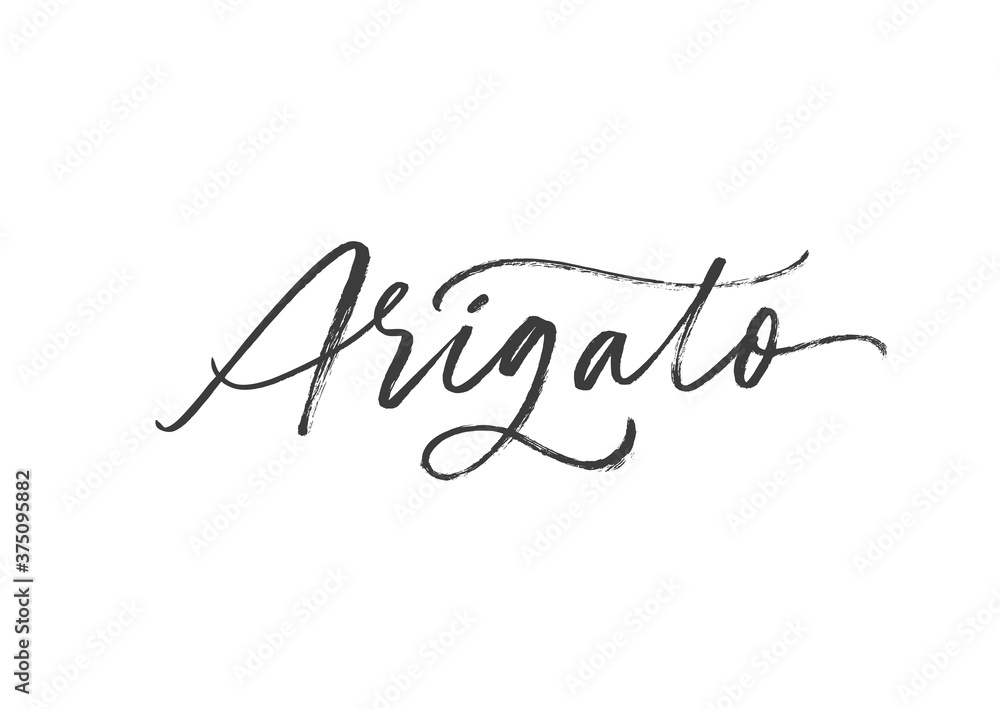 Arigato ink brush vector lettering. Thank you in Japanese. Modern phrase handwritten vector calligraphy. Black paint lettering isolated on white background. Postcard, greeting card, t shirt print. 