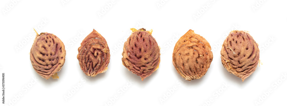 Peach pits on a white background. Peach pits on a white background.