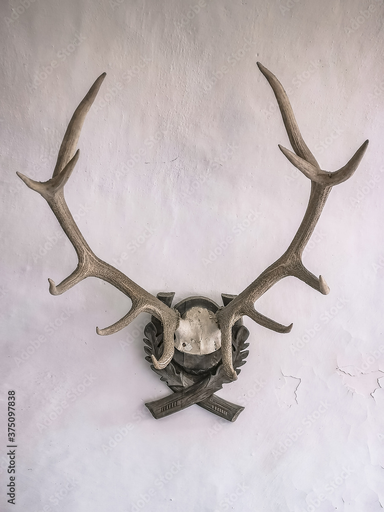 Fototapeta premium The interiors of an ancient castle in slovenia
