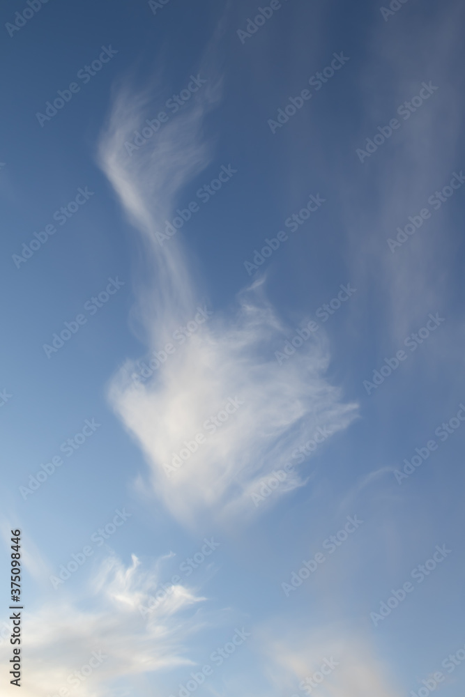 White cirrus clouds are filiform, the sky is blue. White cirrus clouds are filiform, the sky is blue.
