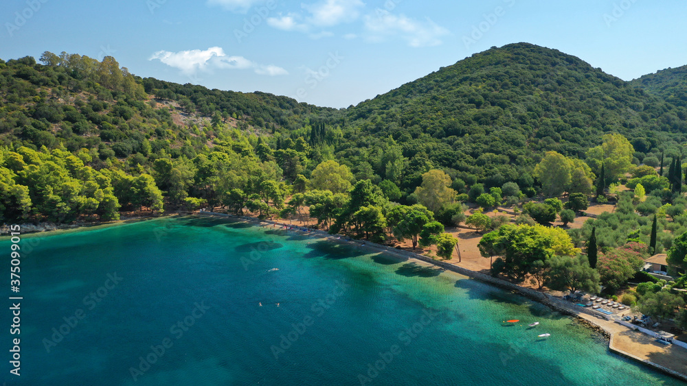 Aerial drone photo of beautiful paradise beach of Skinos covered in pine trees in beautiful Ionian island of Ithaki or Ithaca, Greece