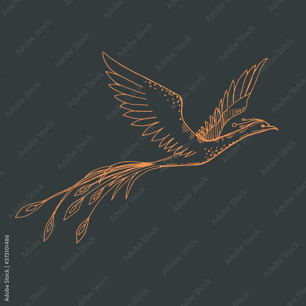 Fototapeta premium Vector image of a fiery silhouette firebird on a dark background