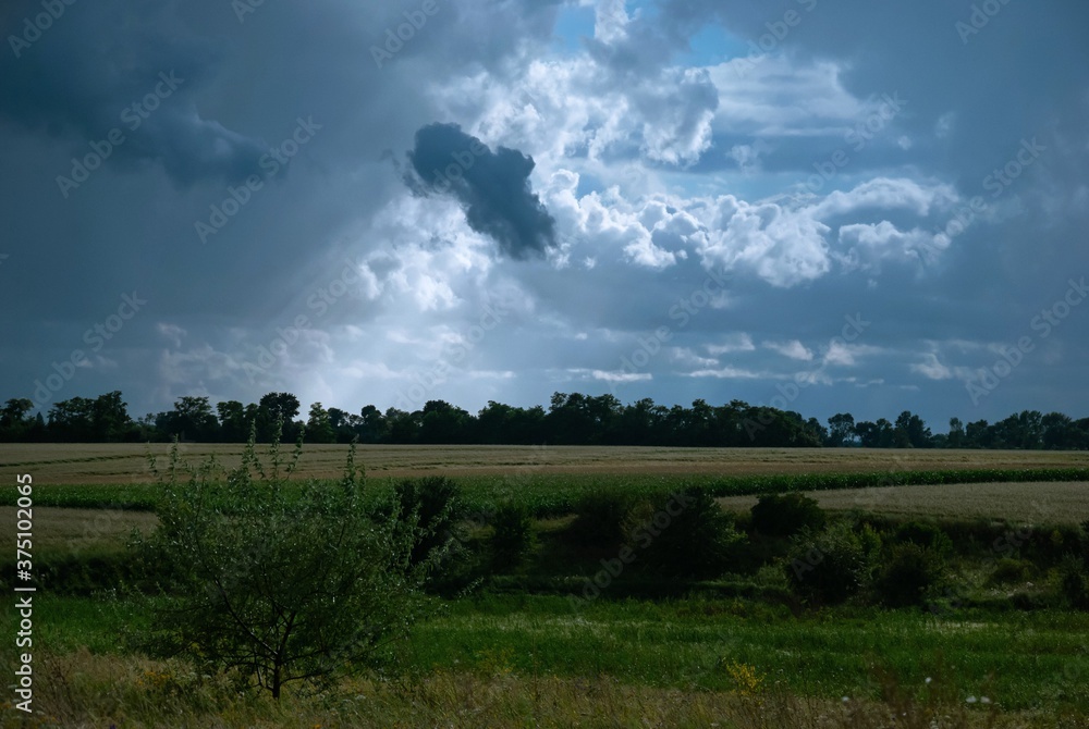 landscape with clouds, clouds over the field