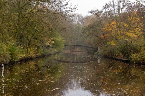 Photo Beautiful shot of a canal passing through an autumn forest