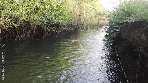 Aryk. Irrigation, conveyance channel (field ditch) and weeds on the edge of the canal. Asia watering. Voices and sounds of fields
 photo