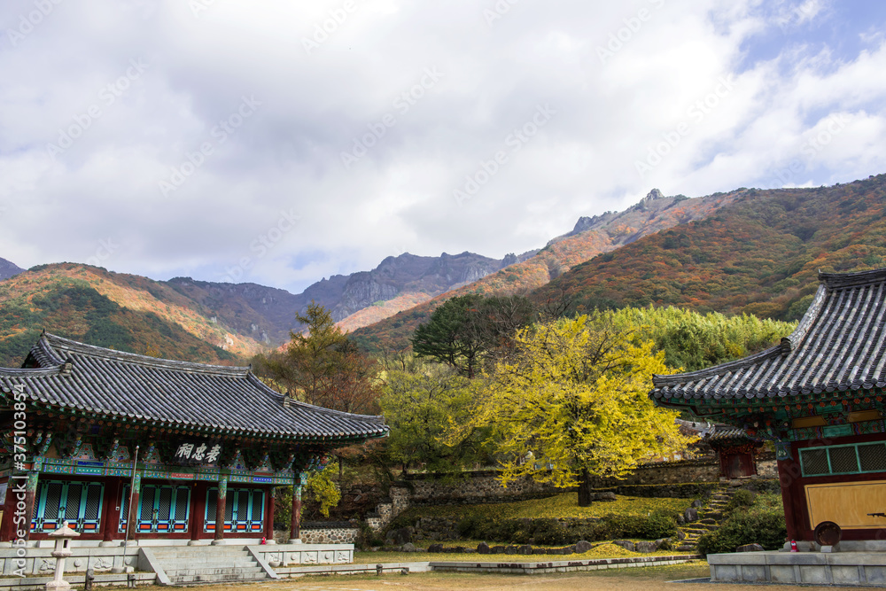 The beautiful and colorful autumn landscape of temple background autumn colored mountain and blue sky.