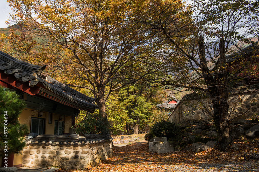 The beautiful and colorful autumn landscape of temple background autumn colored mountain and blue sky. The beautiful and colorful autumn landscape of temple background autumn colored mountain and blue sky.